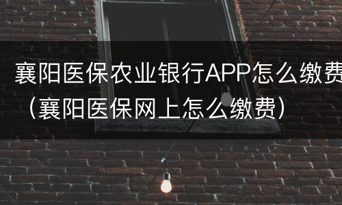 襄阳医保农业银行APP怎么缴费（襄阳医保网上怎么缴费）