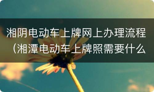 湘阴电动车上牌网上办理流程（湘潭电动车上牌照需要什么手续）