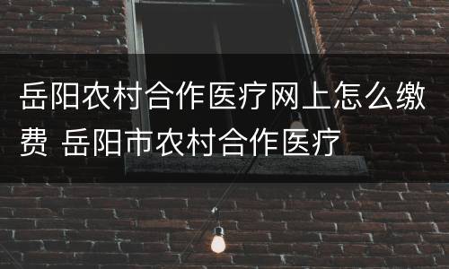 岳阳农村合作医疗网上怎么缴费 岳阳市农村合作医疗