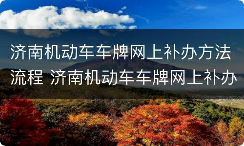 济南机动车车牌网上补办方法流程 济南机动车车牌网上补办方法流程