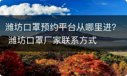 潍坊口罩预约平台从哪里进？ 潍坊口罩厂家联系方式