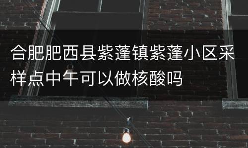 合肥肥西县紫蓬镇紫蓬小区采样点中午可以做核酸吗