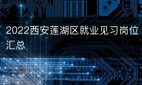 2022西安莲湖区就业见习岗位汇总