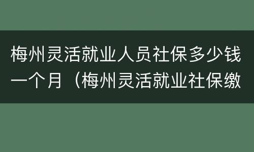 梅州灵活就业人员社保多少钱一个月（梅州灵活就业社保缴费每个月多少钱）