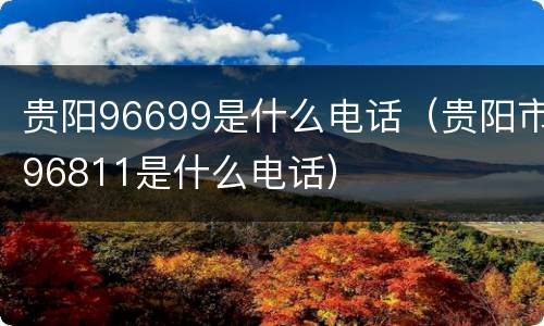 贵阳96699是什么电话（贵阳市96811是什么电话）