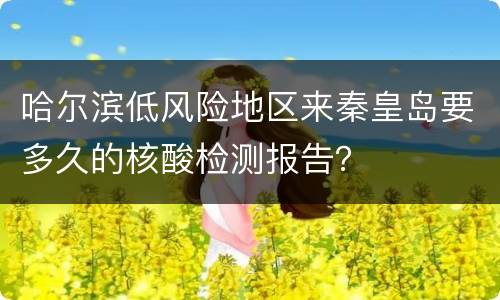 哈尔滨低风险地区来秦皇岛要多久的核酸检测报告？