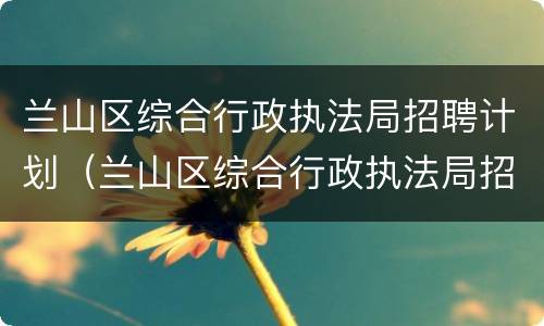 兰山区综合行政执法局招聘计划（兰山区综合行政执法局招聘计划人员）