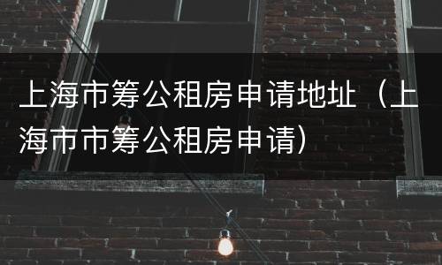 上海市筹公租房申请地址（上海市市筹公租房申请）