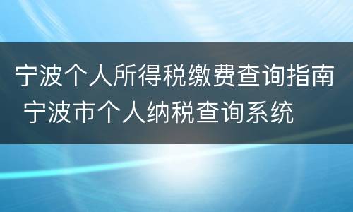 宁波个人所得税缴费查询指南 宁波市个人纳税查询系统