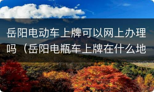 岳阳电动车上牌可以网上办理吗（岳阳电瓶车上牌在什么地方）