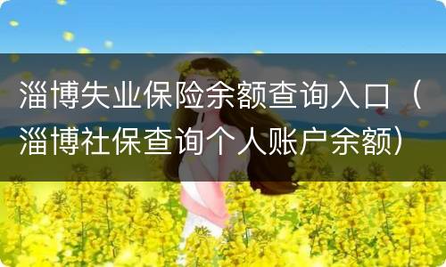 淄博失业保险余额查询入口（淄博社保查询个人账户余额）