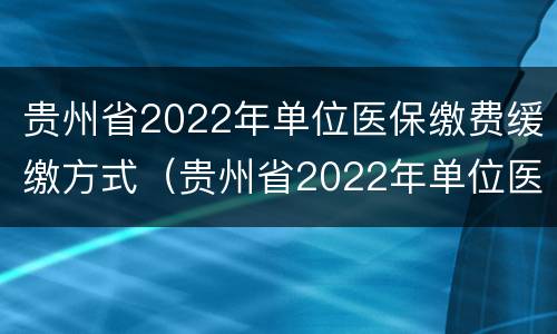 贵州省2022年单位医保缴费缓缴方式（贵州省2022年单位医保缴费缓缴方式有几种）