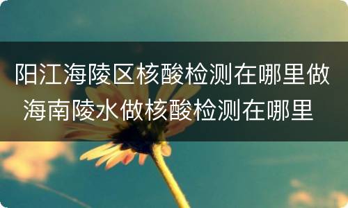 阳江海陵区核酸检测在哪里做 海南陵水做核酸检测在哪里