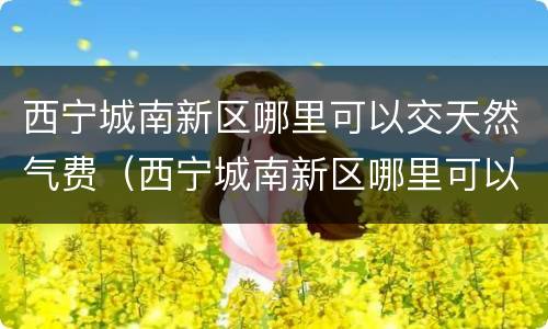 西宁城南新区哪里可以交天然气费（西宁城南新区哪里可以交天然气费的）