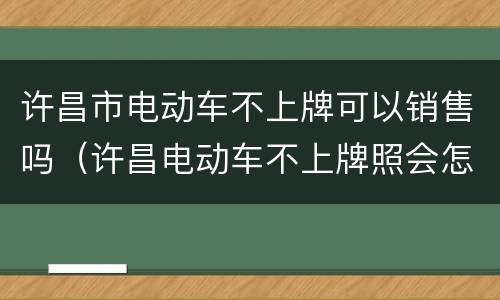 许昌市电动车不上牌可以销售吗（许昌电动车不上牌照会怎样）