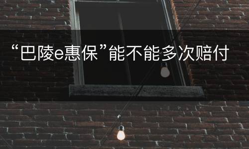“巴陵e惠保”能不能多次赔付