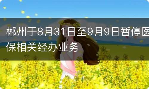 郴州于8月31日至9月9日暂停医保相关经办业务