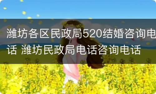 潍坊各区民政局520结婚咨询电话 潍坊民政局电话咨询电话