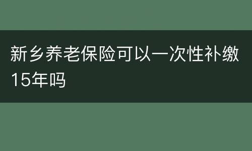 新乡养老保险可以一次性补缴15年吗