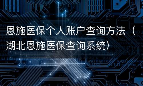 恩施医保个人账户查询方法（湖北恩施医保查询系统）