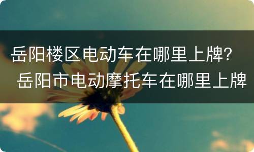 岳阳楼区电动车在哪里上牌？ 岳阳市电动摩托车在哪里上牌