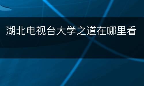 湖北电视台大学之道在哪里看