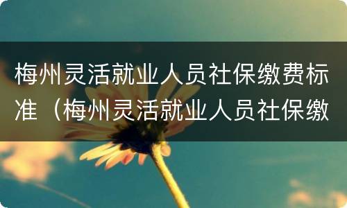 梅州灵活就业人员社保缴费标准（梅州灵活就业人员社保缴费标准表）