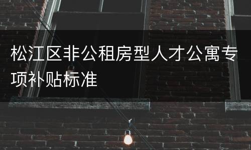 松江区非公租房型人才公寓专项补贴标准