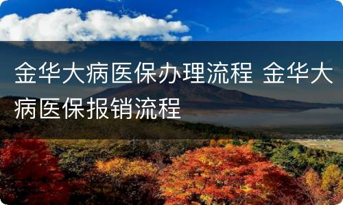 金华大病医保办理流程 金华大病医保报销流程