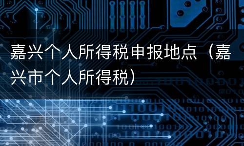 嘉兴个人所得税申报地点（嘉兴市个人所得税）