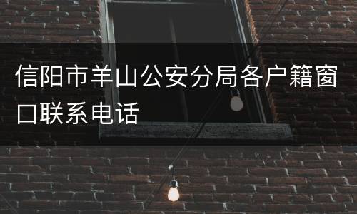 信阳市羊山公安分局各户籍窗口联系电话