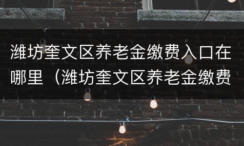 潍坊奎文区养老金缴费入口在哪里（潍坊奎文区养老金缴费入口在哪里查询）