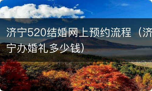 济宁520结婚网上预约流程（济宁办婚礼多少钱）