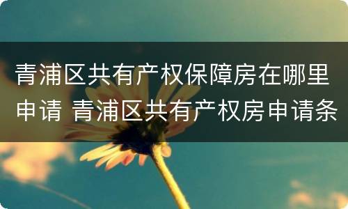 青浦区共有产权保障房在哪里申请 青浦区共有产权房申请条件