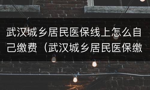 武汉城乡居民医保线上怎么自己缴费（武汉城乡居民医保缴费网上怎么交）