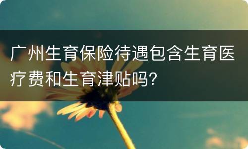 广州生育保险待遇包含生育医疗费和生育津贴吗？
