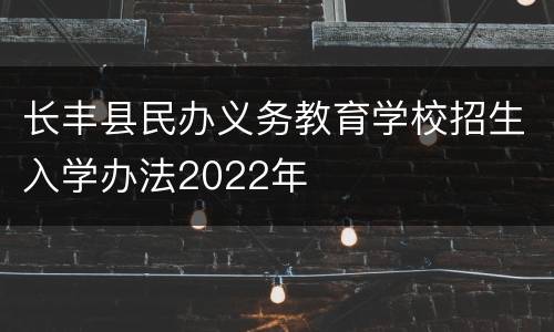 长丰县民办义务教育学校招生入学办法2022年