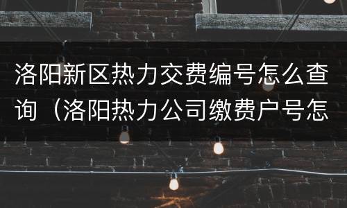 洛阳新区热力交费编号怎么查询（洛阳热力公司缴费户号怎么查）