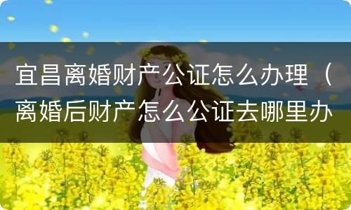宜昌离婚财产公证怎么办理（离婚后财产怎么公证去哪里办理）