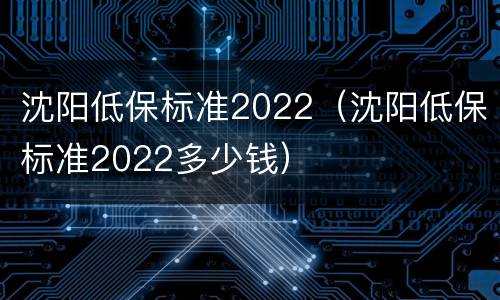 沈阳低保标准2022（沈阳低保标准2022多少钱）