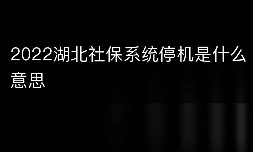 2022湖北社保系统停机是什么意思