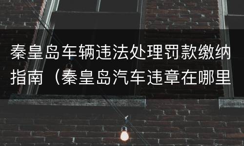 秦皇岛车辆违法处理罚款缴纳指南（秦皇岛汽车违章在哪里交罚款）