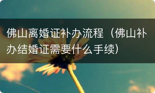佛山离婚证补办流程（佛山补办结婚证需要什么手续）