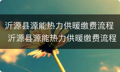 沂源县源能热力供暖缴费流程 沂源县源能热力供暖缴费流程表