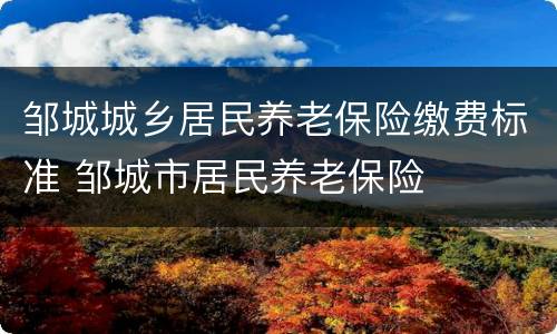 邹城城乡居民养老保险缴费标准 邹城市居民养老保险