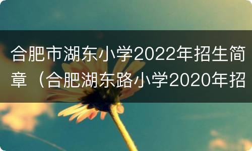 合肥市湖东小学2022年招生简章（合肥湖东路小学2020年招生）