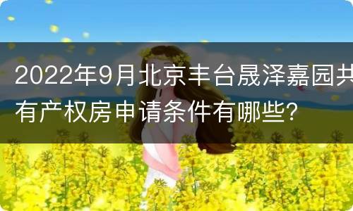 2022年9月北京丰台晟泽嘉园共有产权房申请条件有哪些？