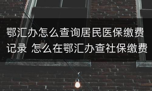 鄂汇办怎么查询居民医保缴费记录 怎么在鄂汇办查社保缴费信息