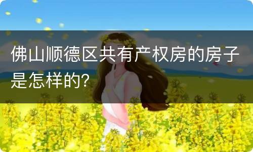 佛山顺德区共有产权房的房子是怎样的？