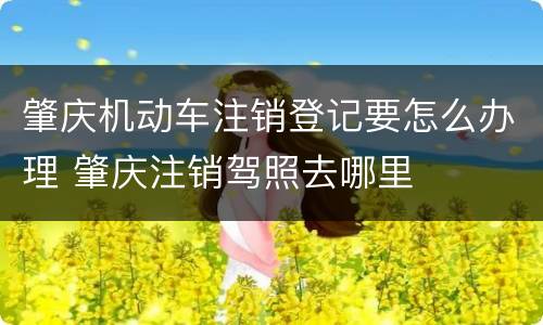 肇庆机动车注销登记要怎么办理 肇庆注销驾照去哪里